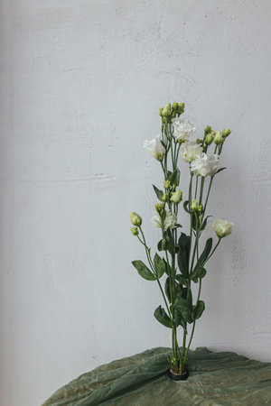 Stylish white flowers on kenzan on green fabric background against rustic wall. Modern floral still...