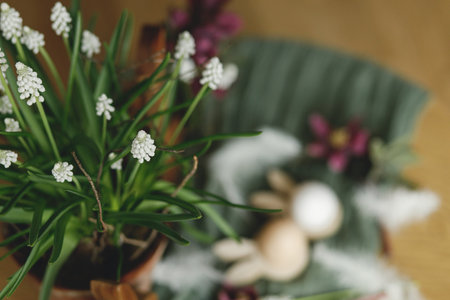 Spring flowers in pot on background of wooden table with easter decor. White muscari blooming in flowerpot close up. Festive arrangement and decor in farmhouseの写真素材