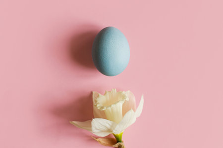 Happy Easter! Easter egg and flower on pink background. Minimal Easter still life. Modern spring banner or greeting card, space for text. Natural painted blue egg and white daffodilの写真素材