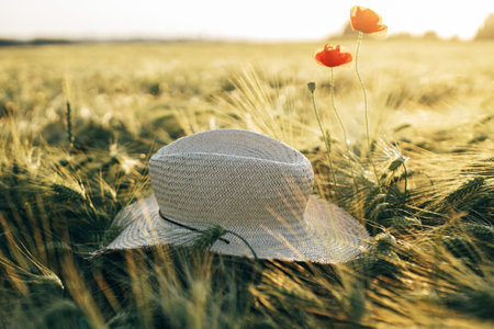 Summer countryside. Rustic straw hat and red poppy on barley ears in in sunset light in field. Wildflowers and farm hat close up in evening summer meadow. Atmospheric momentの写真素材