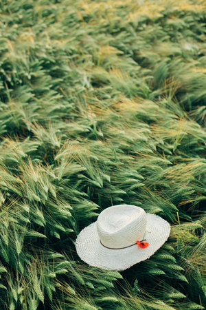 Rustic straw hat and red poppy on barley ears in evening field, view above. Wildflowers and farm hat in summer countryside. Atmospheric moment in evening meadowの写真素材