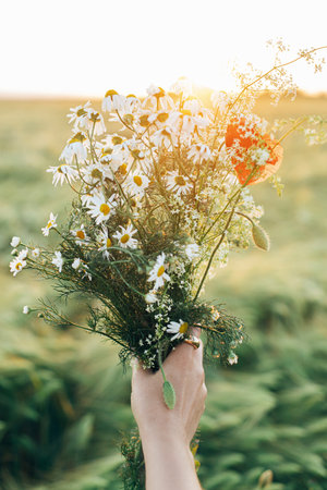 Beautiful woman holding wildflowers bouquet close up in sunset light in barley field. Stylish female relaxing in evening summer countryside and gathering flowers. Atmospheric tranquil momentの写真素材