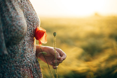 Beautiful woman with poppy flower close up standing in barley field in sunset light. Stylish female relaxing in evening summer countryside and gathering flowers. Atmospheric tranquil momentの写真素材