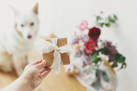 Hand holding stylish gift box on background of Cute dog and modern bouquet in modern room. Pet love and holidays greetings. Happy Mothers day. Happy Women's day. Adorable cute friendの写真素材