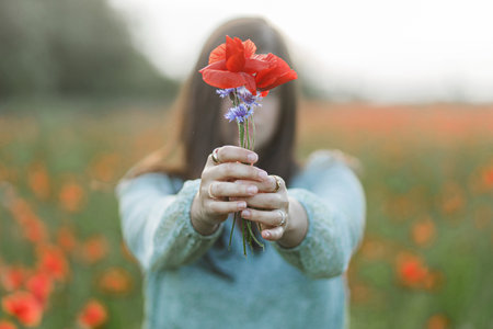 Woman hands holding bouquet of wildflowers in poppy field in evening summer countryside, close up. Atmospheric moment. Young female gathering wildflowers in meadow. Rural simple lifeの写真素材