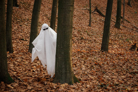 Funny ghost with black glasses peeking out of a tree in moody autumn forest. Person dressed with white sheet as stylish ghost trick or treating in evening fall woods. Happy Halloween!の写真素材