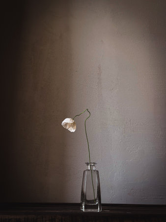 Beautiful poppy in glass vase on moody rustic background. Stylish flower still life, artistic composition. Floral vertical wallpaperの写真素材