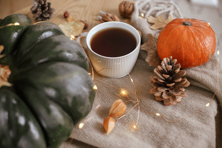 Warm cup of tea, pumpkins, autumn leaves, cones, cozy scarf and lights on rustic wooden table in farmhouse. Cozy fall in rural home. Happy Thanksgiving. Autumn hygge still life, bannerの写真素材