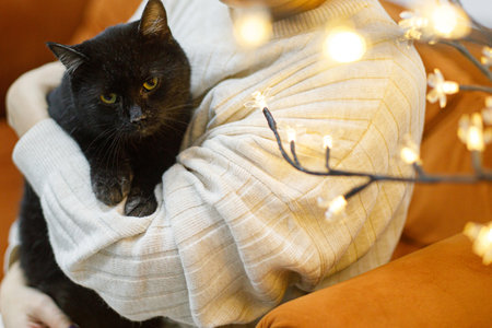 Adorable old black cat sitting in woman hands in room with christmas lights. Pet adoption concept. Person in cozy sweater hugging cute scared catの写真素材