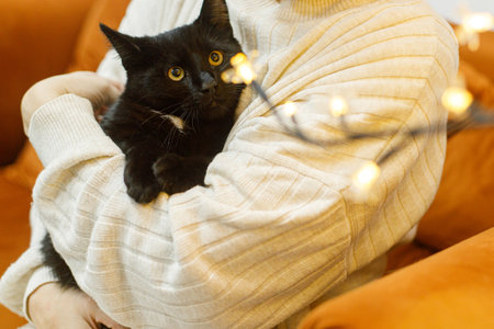 Adorable black cat sitting in woman hands in room with christmas lights. Pet adoption concept. Person in cozy sweater hugging cute scared cat on bedの写真素材