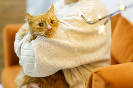 Adorable ginger cat sitting in woman hands in room with christmas lights. Pet adoption concept. Person in cozy sweater hugging cute scared cat on bedの写真素材