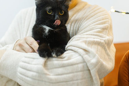 Adorable black cat with licking tongue in woman hands in room. Pet adoption concept. Person in cozy sweater hugging cute scared cat on bedの写真素材