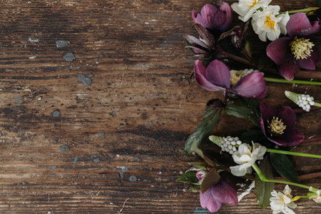 Spring flowers rustic flat lay. Beautiful helleborus, muscari, daffodils on aged wooden background. First spring flowers gardening. Floral spring countryside decorの写真素材