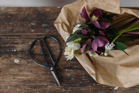 Beautiful spring bouquet in craft paper and scissors on rustic wooden background. First spring flowers helleborus, muscari, daffodils. Top viewの写真素材