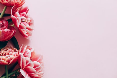 Modern tulips flat lay on pink background. Happy Valentines day and happy mothers day. Stylish beautiful floral border with space for text.  Tender red and pink flowers bannerの写真素材