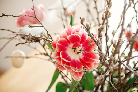 Tulips and  stylish easter egg with feather on willow branches composition close up. Happy Easter! Simple easter table setting decor in farmhouse living roomの写真素材