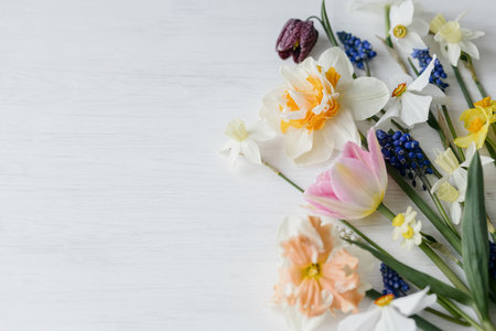Stylish spring flowers flat lay on rustic white table, space for text. Hello spring, floral banner. Beautiful daffodils and tulips bouquet border on wood. Happy womens day and Mothers dayの写真素材