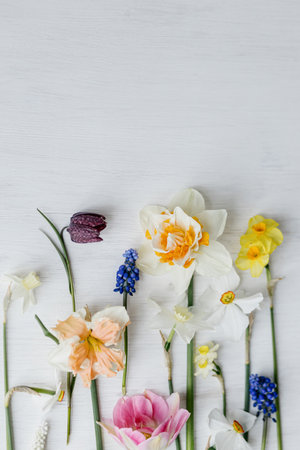 Stylish spring flowers flat lay on rustic white table, space for text. Hello spring, floral banner. Beautiful daffodils and tulips bouquet border on wood. Happy womens day and Mothers dayの写真素材