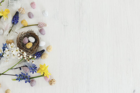 Easter rustic flat lay. Colorful easter chocolate eggs in nest, spring flowers, feathers border composition on white wooden table. Space for text. Happy Easter! Seasons greetingsの写真素材