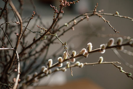 Beautiful willow branches bouquet close up in vase. Happy Easter! Simple easter table setting decor in farmhouse living roomの写真素材