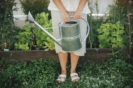 Woman with watering can working at raised garden bed. Homestead lifestyle. Growing homegrown vegetables in urban organic gardenの写真素材