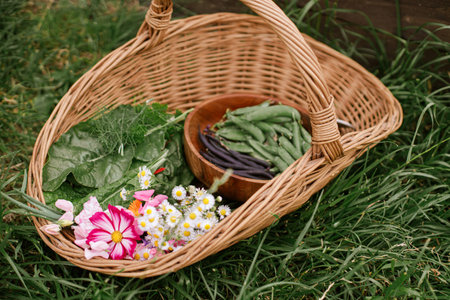 Homestead lifestyle. Vegetables, chard leaves, beans and flowers  in wicker basket close up....