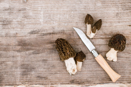 Morchella mushrooms and knife on wooden background flat lay. True morels. Harvesting Morchella esculenta, copy space. Fungi delicacy, delicious edible mushroomsの写真素材