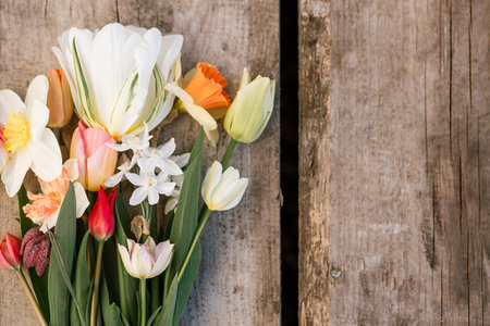 Beautiful bouquet rustic flat lay on aged wooden background. Spring daffodils and tulips top view, floral rural template with copy space. Growing spring flowers. Mothers day cardの写真素材