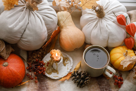 Hello fall. Candle, warm cup of tea, pumpkins, autumn leaves and woolen scarf on windowsill. Autumn hygge still life. Happy Thanksgiving.の写真素材
