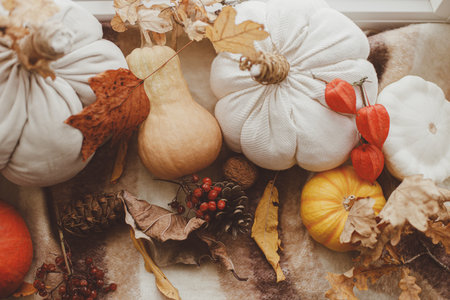 Autumn still life. Pumpkins, fall leaves, nuts and pine cone on woolen scarf on windowsill. Autumn hygge. Happy Thanksgivingの写真素材