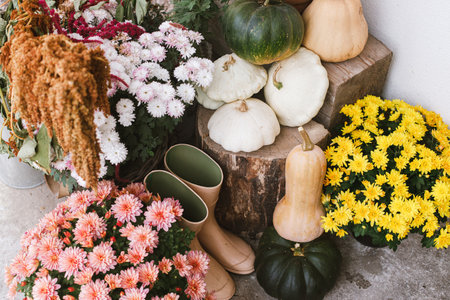 Autumn decor of house entrance. Beautiful autumnal moms flowers, pumpkins, rubber boots and wood. Stylish decoration in fall season of farmhouse entranceの写真素材
