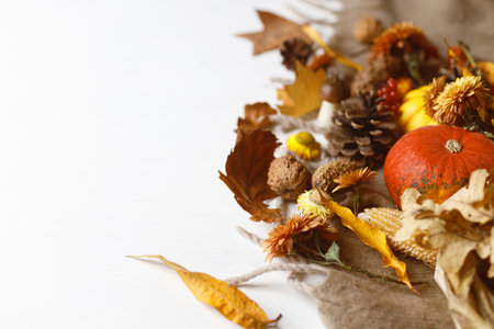 Autumn border. Pumpkins, fall leaves and flowers, berries and pine cones on white wood background. Autumnal template with space for text. Thanksgiving backgroundの写真素材