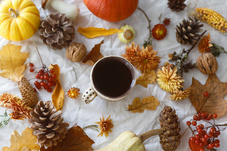 Thanksgiving background. Cup of tea, pumpkins, fall leaves and flowers, berries and pine cones on linen cloth, flat lay. Autumn banner. Fall harvestの写真素材