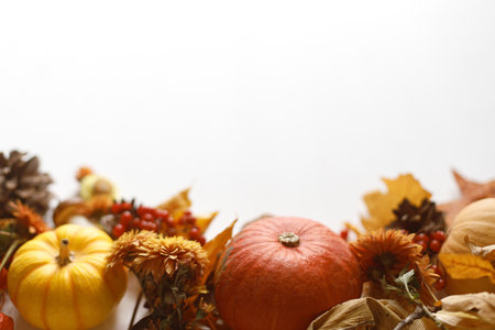 Autumn border. Pumpkins, fall leaves and flowers, berries and pine cones on white wood background. Autumnal template with space for text. Thanksgiving backgroundの写真素材