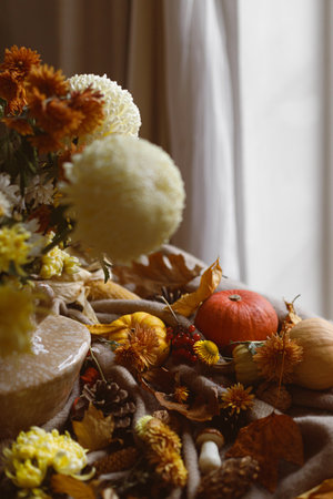 Chrysanthemum in vase, pumpkins, fall leaves, berries and pine cones on table in living room. Autumn cozy still life. Fall banner, space for text. Thanksgiving hyggeの写真素材