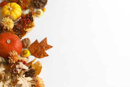 Autumn flat lay. Pumpkins, fall leaves and flowers, berries and pine cones border on white wood background. Autumnal template with space for text. Thanksgiving backgroundの写真素材