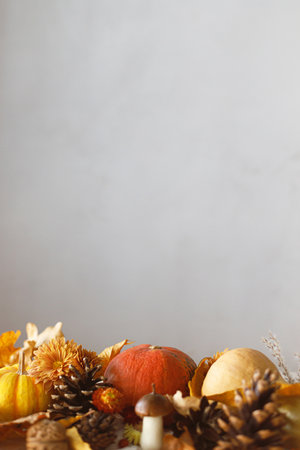 Happy Thanksgiving. Autumn still life. Pumpkins, fall leaves and flowers, berries and pine cones in sunlight on table.  Fall harvest backgroundの写真素材