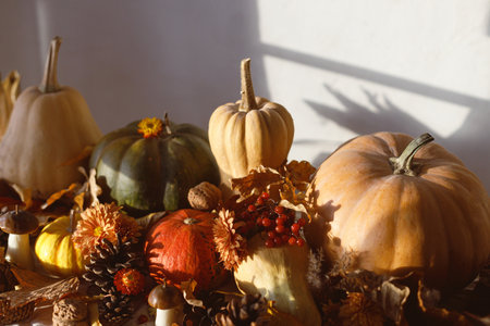 Happy Thanksgiving. Autumn still life. Pumpkins, fall leaves and flowers, berries and pine cones in sunlight on table.  Fall harvest backgroundの写真素材
