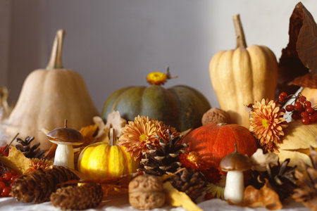 Happy Thanksgiving. Autumn still life. Pumpkins, fall leaves and flowers, berries and pine cones in sunlight on table.  Fall harvest backgroundの写真素材