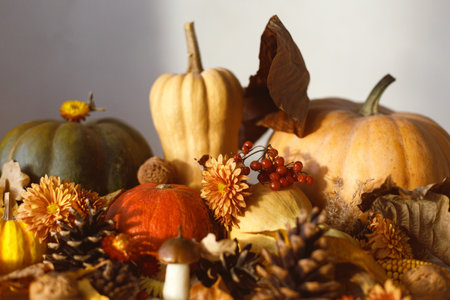 Happy Thanksgiving. Autumn still life. Pumpkins, fall leaves and flowers, berries and pine cones in sunlight on table.  Fall harvest background, space for textの写真素材
