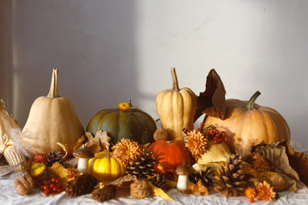 Happy Thanksgiving. Pumpkins, fall leaves and flowers, berries, mushroom and pine cones on table in sunlight, space for text. Autumn banner. Fall harvest backgroundの写真素材