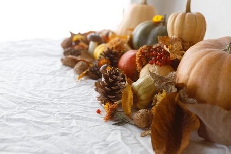 Happy Thanksgiving. Pumpkins, fall leaves and flowers, berries and pine cones on linen cloth, space for text. Autumn banner. Fall harvest backgroundの写真素材