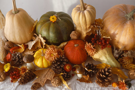 Thanksgiving background. Pumpkins, fall leaves and flowers, berries, mushroom and pine cones on table in sunlight. Autumn harvest still life. Fall bannerの写真素材