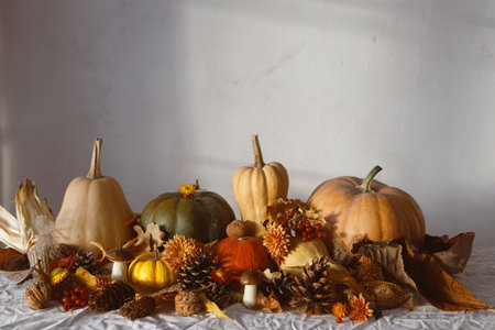 Thanksgiving background. Pumpkins, fall leaves and flowers, berries, mushroom and pine cones on table in sunlight, space for text. Autumn harvest still life. Fall bannerの写真素材