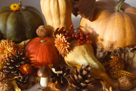 Thanksgiving background. Pumpkins, fall leaves and flowers, berries, mushroom and pine cones on table in sunlight. Autumn harvest still life. Fall bannerの写真素材