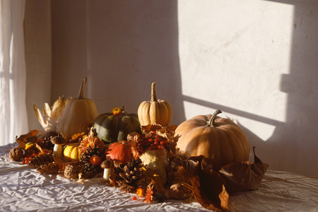 Happy Thanksgiving. Pumpkins, fall leaves and flowers, berries, mushroom and pine cones on table in sunlight, space for text. Autumn banner. Fall harvest backgroundの写真素材