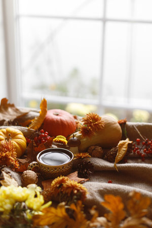 Autumn cozy still life. Cup of tea, pumpkins, fall leaves and flowers, berries and pine cones on woolen scarf. Fall hygge, space for text. Thanksgiving backgroundの写真素材