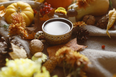 Cup of tea, pumpkins, fall leaves and flowers, berries and pine cones on woolen scarf. Autumn cozy still life. Fall banner, space for text. Thanksgiving hyggeの写真素材