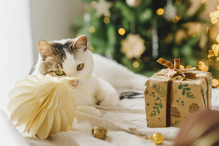 Cute cat lying at stylish christmas gift box on table with modern ornaments on background of stylish christmas tree with lights. Merry Christmas! Pets and winter holidaysの写真素材