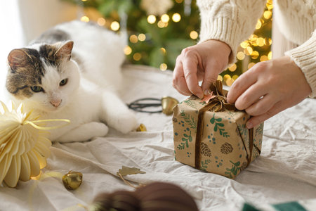 Wrapping stylish christmas gift, winter holidays preparation. Hands in cozy sweater decorating gift box and and cute cat helping on table on background of decorated christmas tree with lightsの写真素材